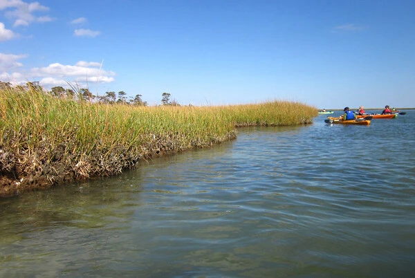 Cape Charles Beach